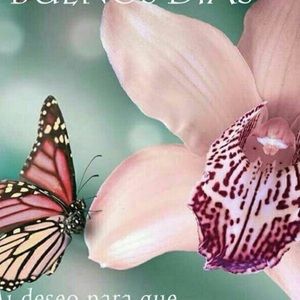 Meet your Posher, Janette